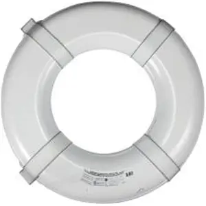 212 MAIN Coast Guard Approved 24" Diameter Life Ring, National Brand Alternative, Closed Cell, Mildew Proof Aquatic Fitness Equipment