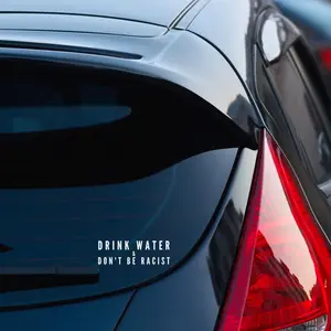 Drink Water & Don’t Be Racist Vinyl Decal, Car Decal, BLM, AOC, BIPOC, Anti-Racism, Waterproof, Weatherproof, Car Window Sticker X