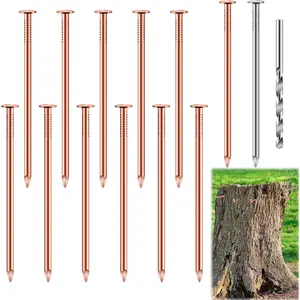 25 Pcs Pure Copper Nails Kit for Killing Trees, Includes 23PCS 3.5 Inch Copper Nails Bulk, Stump Removal Spikes Hardware Nails for Tree Stumps, Landscaping and Hobbies