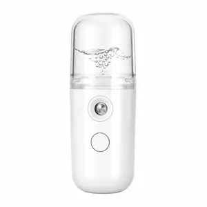 Portable Facial Spray Bottle, Mini USB Sprayer with Visible Water Tank, Convenient for Travel, Skincare, Makeup Assistance