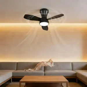 24 Inch Flush Mount Ceiling Fan with Lights and Remote, Low Profile Ceiling Fan with Quiet DC Motor, 6 Speeds, Reversible Blades, 3-CCT Dimmable LED, Cool White Light, Eye Protection Fan Light for Bedroom, Living Room