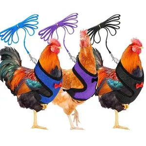 Breathable Adjustable Chicken Harness Carrier with Leash for Poultry Pets, Ideal for Ducks Geese and Chickens, Comfortable and Secure Fit, Outdoor