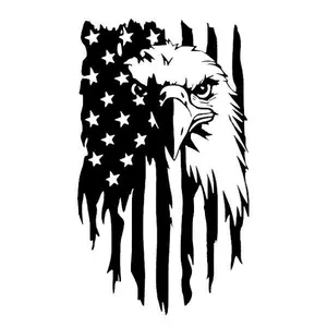 American Flag Eagle Decal (2 pack)