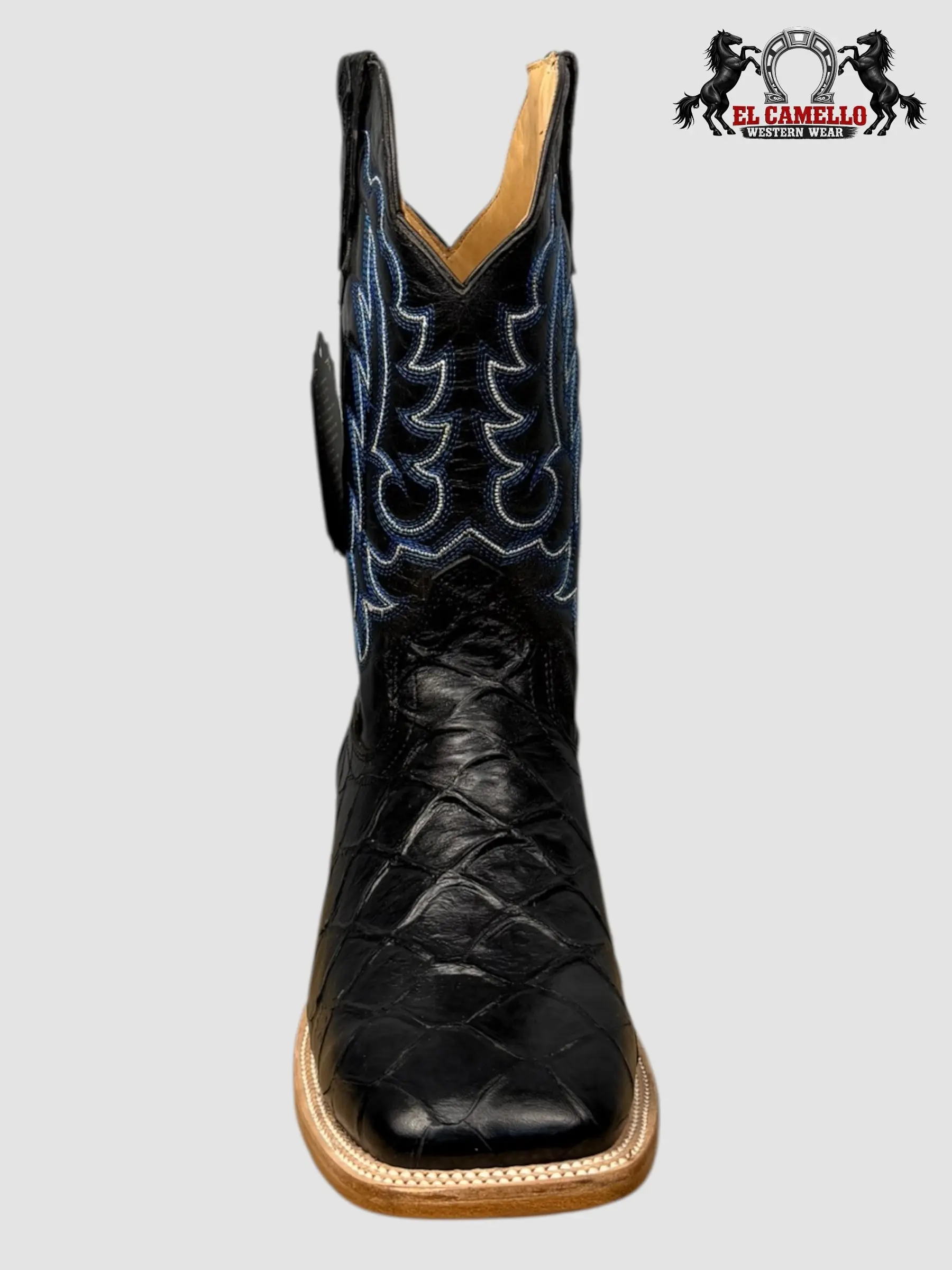 Pescado Pirarucu Negro Torres Boots TBRCC117