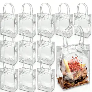 Transparent Gift Bags with Handles, Multi-Color Plastic, Ideal for Boutiques, Weddings, Birthdays, Graduations, Christmas, Parties
