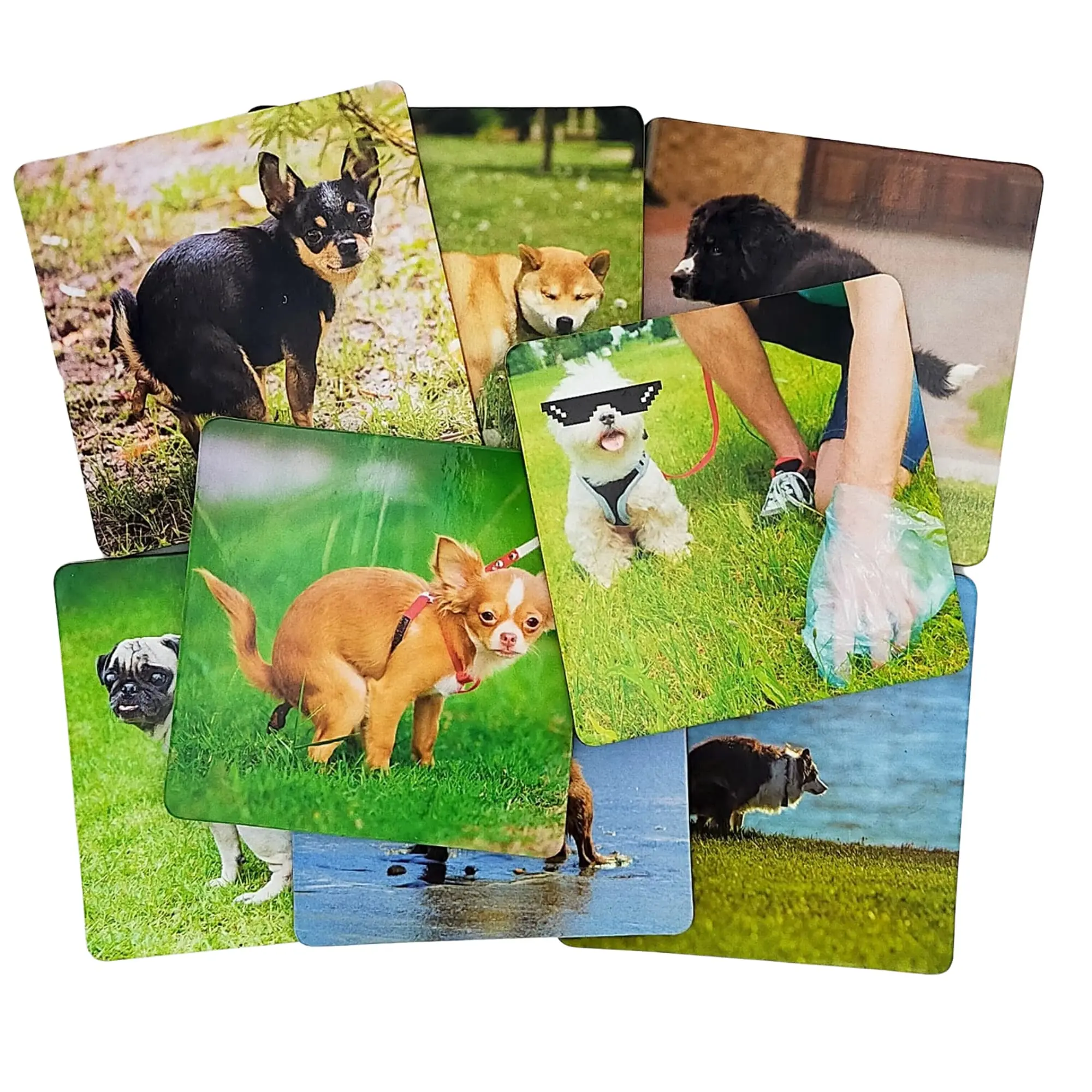 8 Funny Dog Coasters for Drinks - Absorbent Cork Base Home Decor Coaster Set for Tabletop Protection, Dog Decor for Dog Lovers, Hilarious Drink Coasters Set Gag