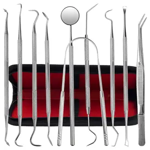 Dental Kit Tools, 10 Pack Stainless Steel Plaque Remover, Dental Tools Remove Plaque and Tartar, Oral Care Kit with Plaque Cleaner, Tartar Pick, Tooth & Tongue Scraper for Dentist, Personal, Family