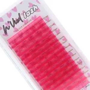 PINK LASH EXTENSIONS Eyelashes Makeup