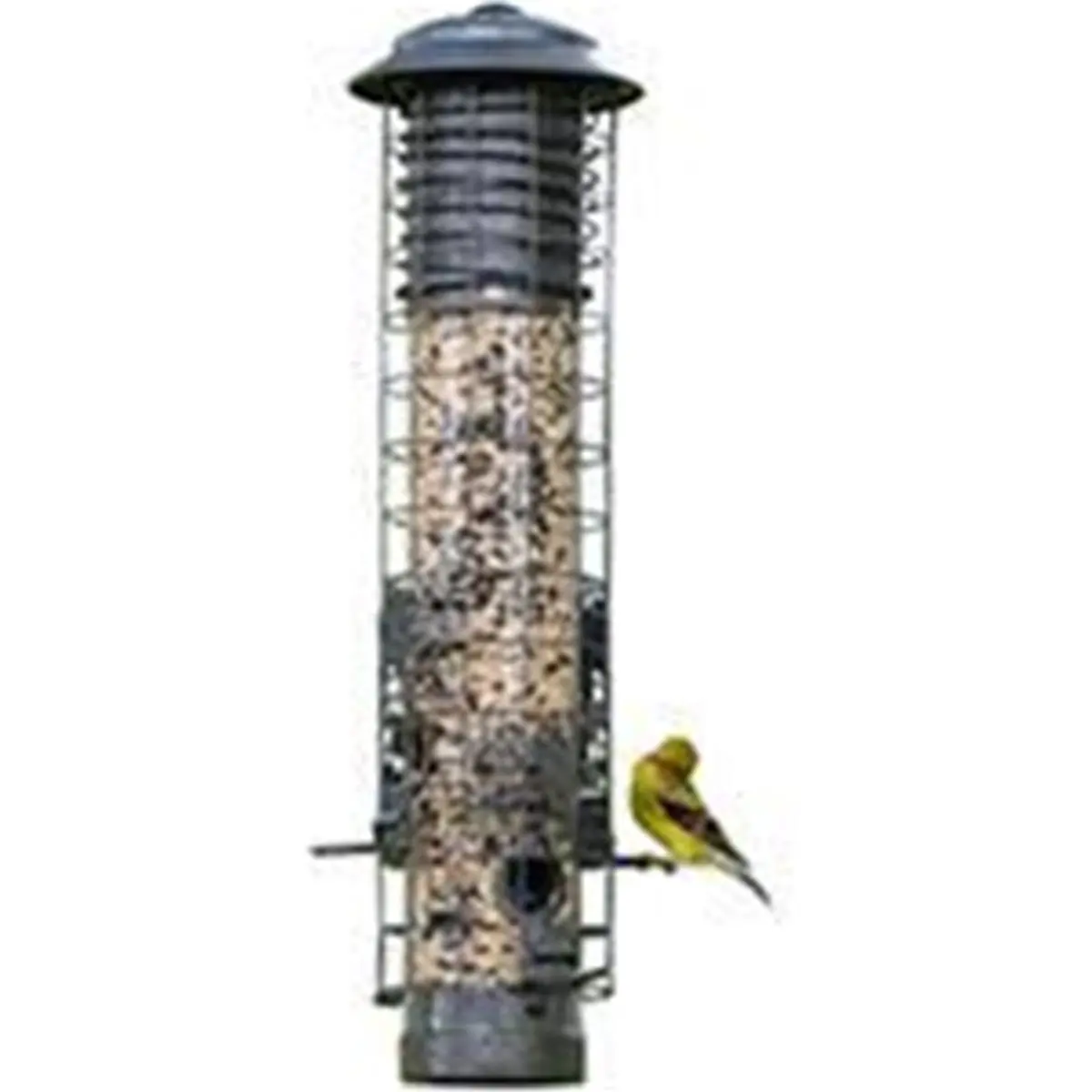 212 MAIN Squirrel-Resistant Dragonfly Shape Tube Bird Feeder - Gray, 2.5 lb Capacity, Antique Look, Push Button Design, Quick-Release Base, Easy Cleaning, Model NA32431