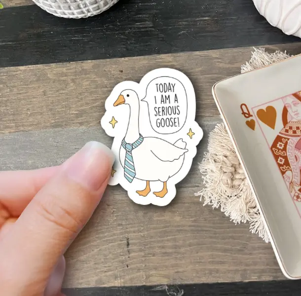 Serious, Funny & Silly Goose Stickers - Trendy Cute Vinyl Decals for Mental Health & Positivity - Waterproof Stickers for Book Lovers & Kindle Users