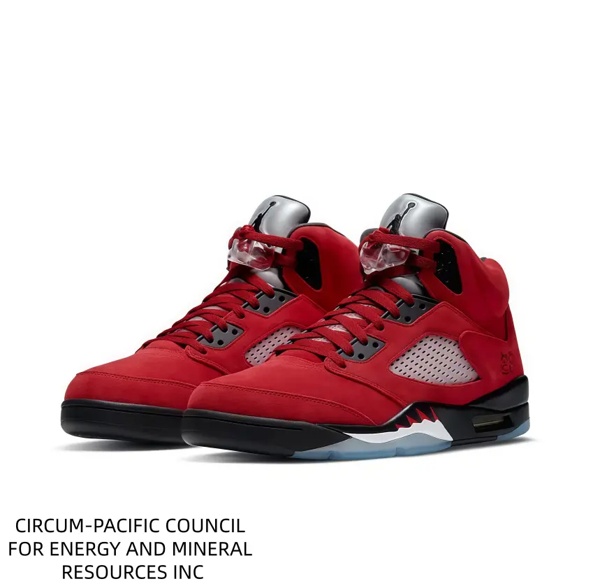 Ankle Support Street Sneakers, Versatile Footwear for Daily Commute and Light Sports Activities