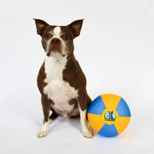Bosty Ball MINI – 8” Chase Herding Ball for Small Dogs Bosty Ball MINI – 8” Chase Herding Ball for Small Dogs