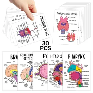 30pcs Human Anatomy Flash Cards - Comprehensive Study Guide for Medical and Nursing Staff, Nursing Flashcards, Anatomy & Physiology Cards - Anatomy Study Guide Reference Cards for Exam Preparation, Visual Learning