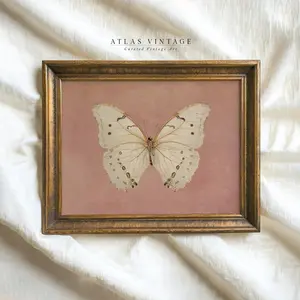 Unframed, Room Decor, Vintage White Butterfly Print, Neutral Moody insect Wall Art, Farmhouse Pink Decor | 5 Sizes (8x12–27x40 inch)