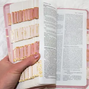 Blush & Glory Pink Bible Set - NIV Edition with Floral Gold Tabs for Easy Navigation & Elegant Soft Pink Cover for Women's Quiet Time Study
