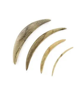 Tamarind Wooden Septum Tusk