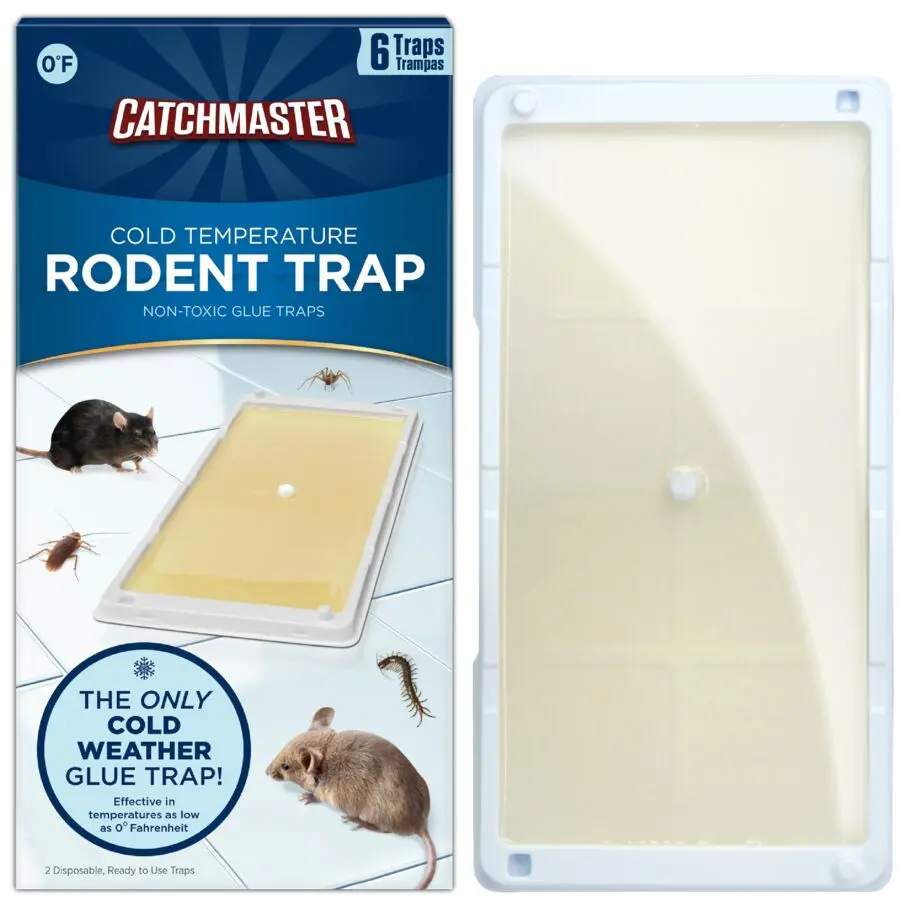 Cold Weather Glue Trays - Perfect for Winter Season