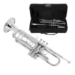 Bb Trumpet, 1 Count Bb Trumpet with Double Pole Support, Brass Wind Instrument, Professional Musical Instrument for Beginner Adult Students