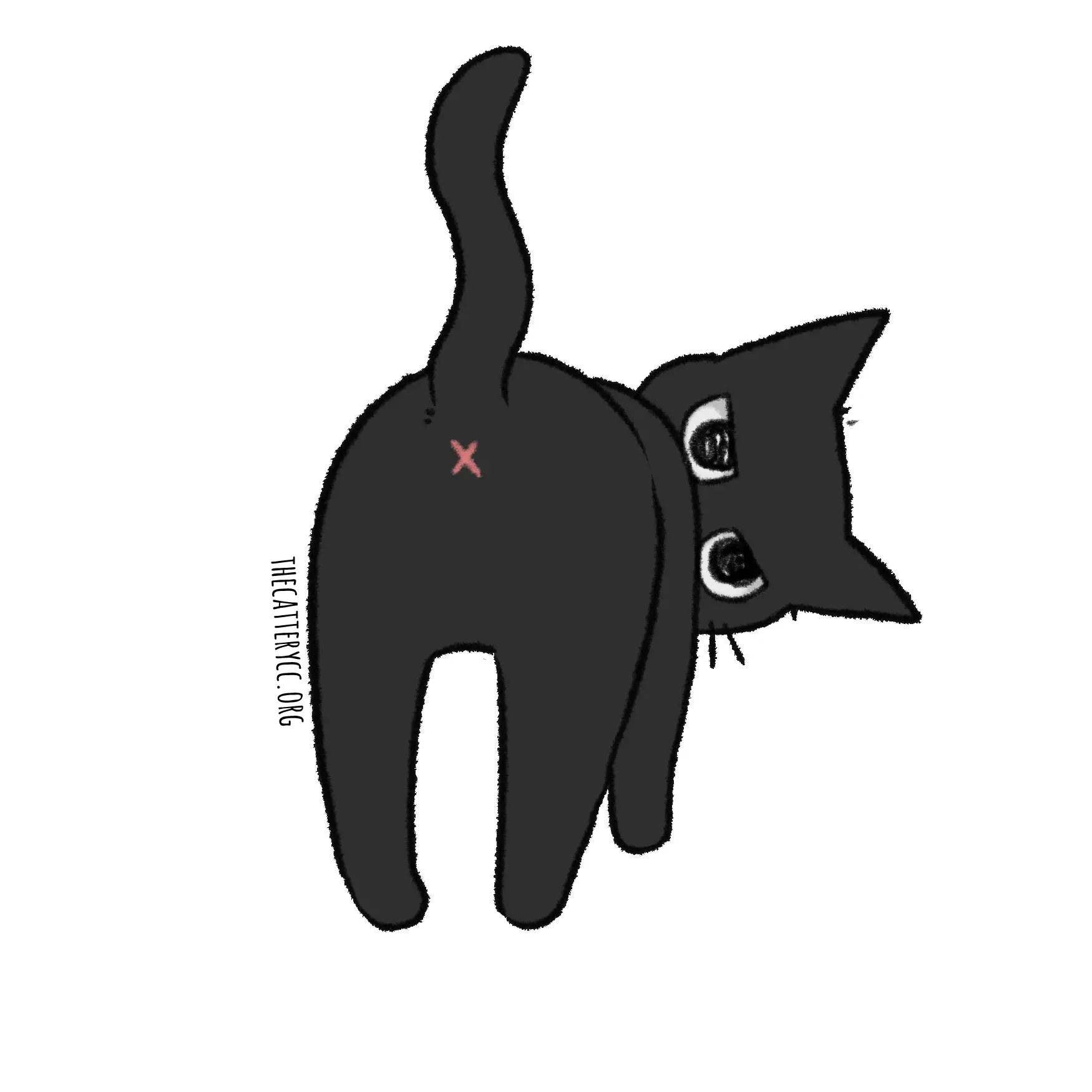 What Are You Looking At Cat Sticker