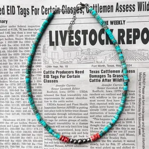 Spiny Oyster/ Turquoise Necklace