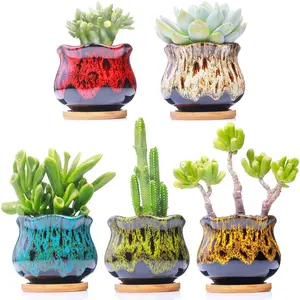 5-Piece Modern Terracotta Clay Succulent Garden Pots - Cute Ceramic Planters with 3.7 in Thick Foam, Drainage Holes, Attached Saucers, Fambe Finish (Plants Not Included), Five Pieces