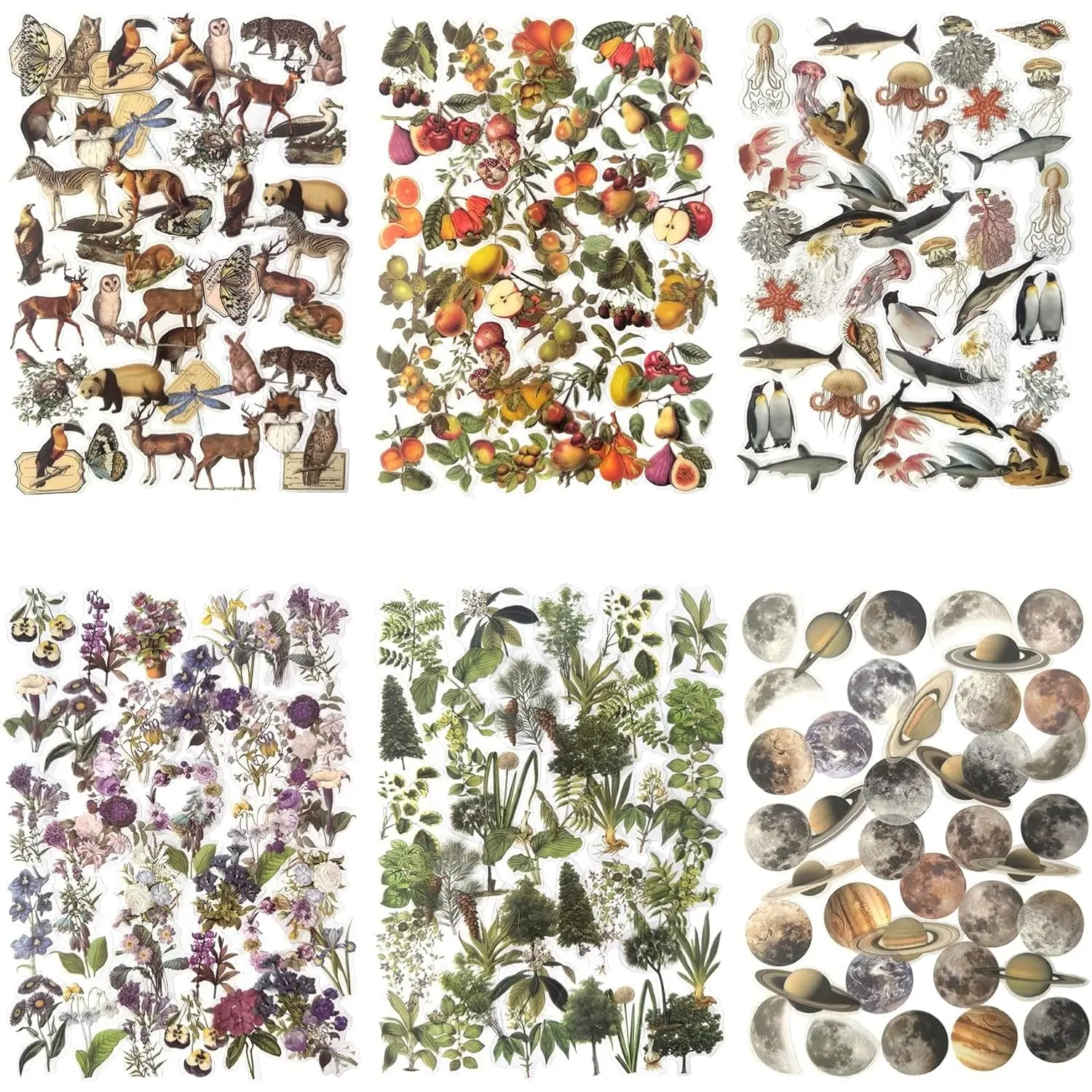 240PCS Waterproof Transparent Nature Decal Stickers Set - Flowers, Leaves, Animals - Office Stationery Supplies for Journaling, DIY Crafts, Decal Sticker, Sticker Transparent