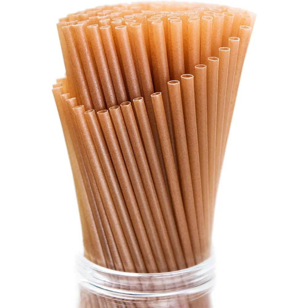 8 in Sugarcane Straws (100 Pieces) - Sturdy, Biodegradable, Plastic-Free, Eco-Friendly, Compostable, Non-Foggy Bar Utensils for Home, Beach, Restaurant Use, Ideal Gift Option, 8 Inch-100