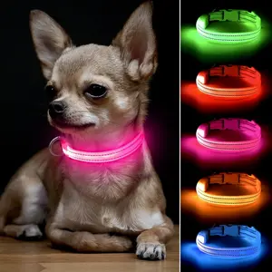 BSEEN Light up Dog Collar, Rechargeable LED Dog Collar Glow in the Dark Cat Collar Reflective Puppy Collar Safety Dog Lights for Night Walking (Pink, XS) Ming D&Y Inc