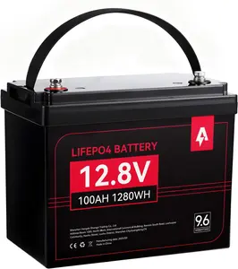 Andeman 12V 100Ah LiFePO4 Battery, IP55 Waterproof, 3000+ Cycles at 80% DOD, Built-in 100A BMS, Max 100A Charging/Discharging, Perfect for RV, Camping, Trolling Motor, Marine, Home Backup Power
