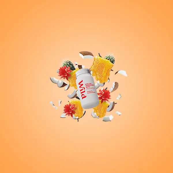 Wild Roll On Refill 3 Pack