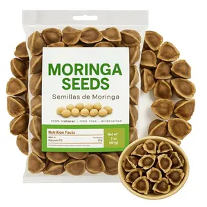 Moringa Seeds (Semillas) – – Premium Quality Moringa Oleifera – Edible – Non-GMO, Organically Grown – Superfood Rich in Nutrients – Imported from Mexico