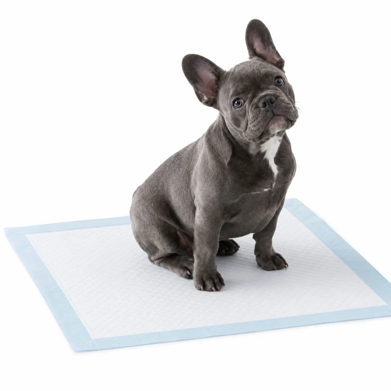 Diaper Training Pads Diaper Training Pads