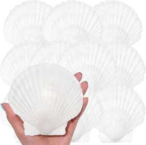 15PCS Scallop Shells, Natural White Large Scallop Shells for Crafts,10-11CM White Seashell Decor for Candle Making, DIY, Painting, Baking, Beach Theme Party and Home Decorations