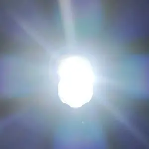 review image 2