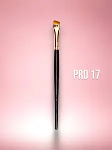 Pro 17
