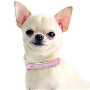 Personalized Cat Rhinestone Puppy Small Dogs Collar in Pink with Free Rhinestone Names and Choice of 6 Letters or 5 Letters with 1 Charm