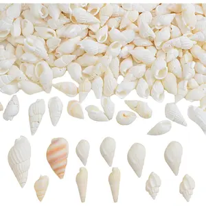 Approx 700pcs Small White Clam Cay Seashells Natural Tiny Sea Shell Mini Spiral Conch Shells Crafts Charm Accessories for DIY Fish Tank Vase Fillers Home Beach Party Decorations