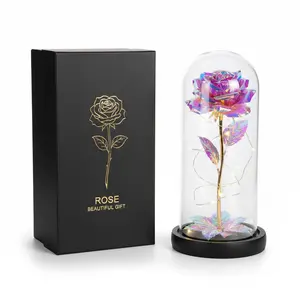 Christmas Day Gift Eternal Rose Flower Led Light Up Rose in Glass Dome with Butterfly for Mom Girlfriend Boyfriend Daughter Women Teen Girl perfect home decor gift festive holiday affordable room thanksgiving table Black Bohemian Style Dried Pampas Grass