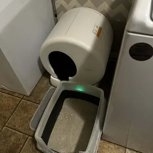 Product Review of Meowant SC01 Smart Litter Box – Self-Cleaning, Odor-Free, Pee Guard, Auto Safety Stop, App-Controlled with Mat & Liner from S**s f**e p**g w**