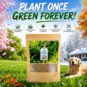 6000 Seeds Rapid Growth Lawn Grass – No Bald Spots, All-Weather Hardy, Perfect for Dense Turf & Golf Greens  #Summervibes