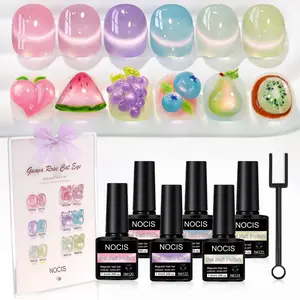 6 Fruit Cat Eye Gel Set with Magnet | Glass Mermaid Glow Nail Polish