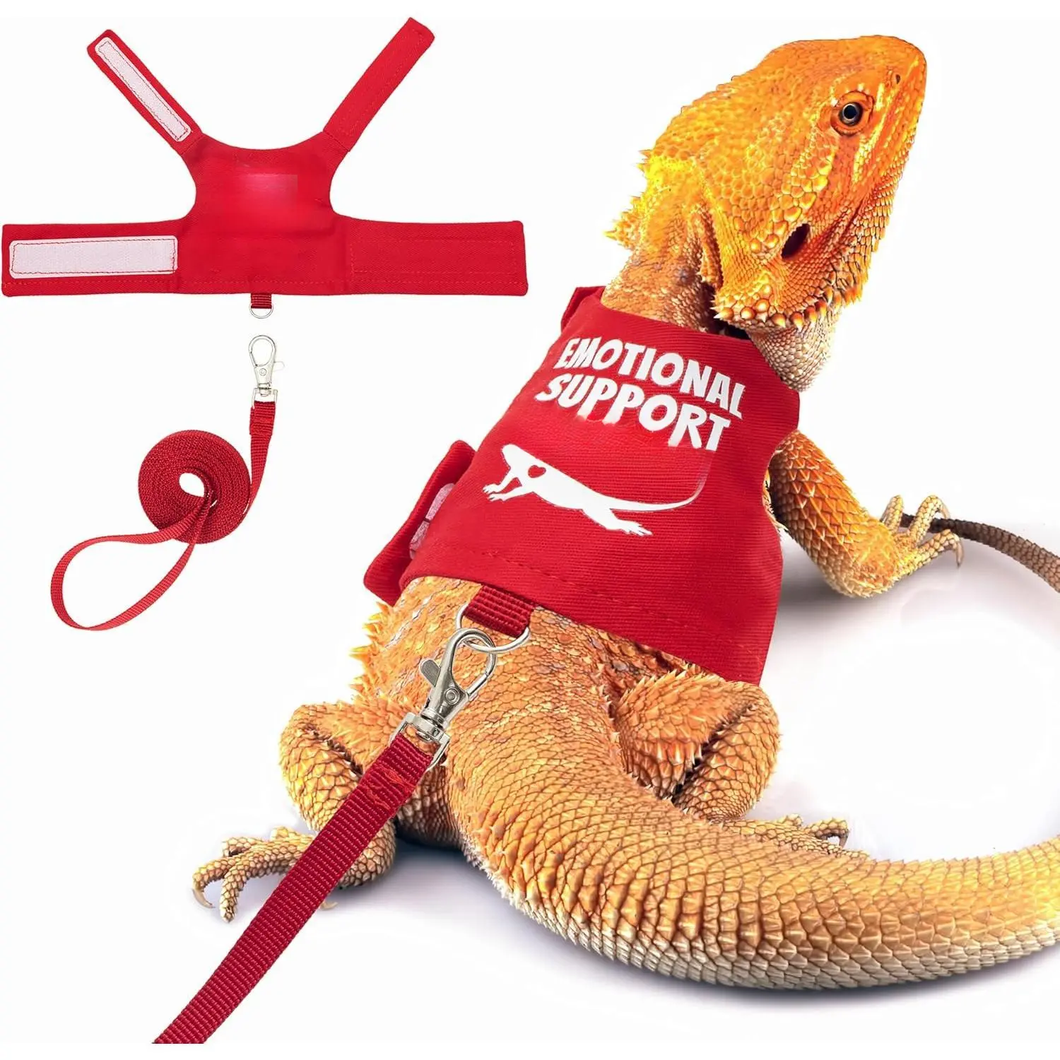 Adjustable Reptile Harness for Walking - Escape Proof Lizard Leash Set with 5 ft Lead - Comfortable Outdoor Pet Gear - Secure Fit for Small Reptiles - Durable Nylon Strap for Daily Use bin  cage ferret  harness