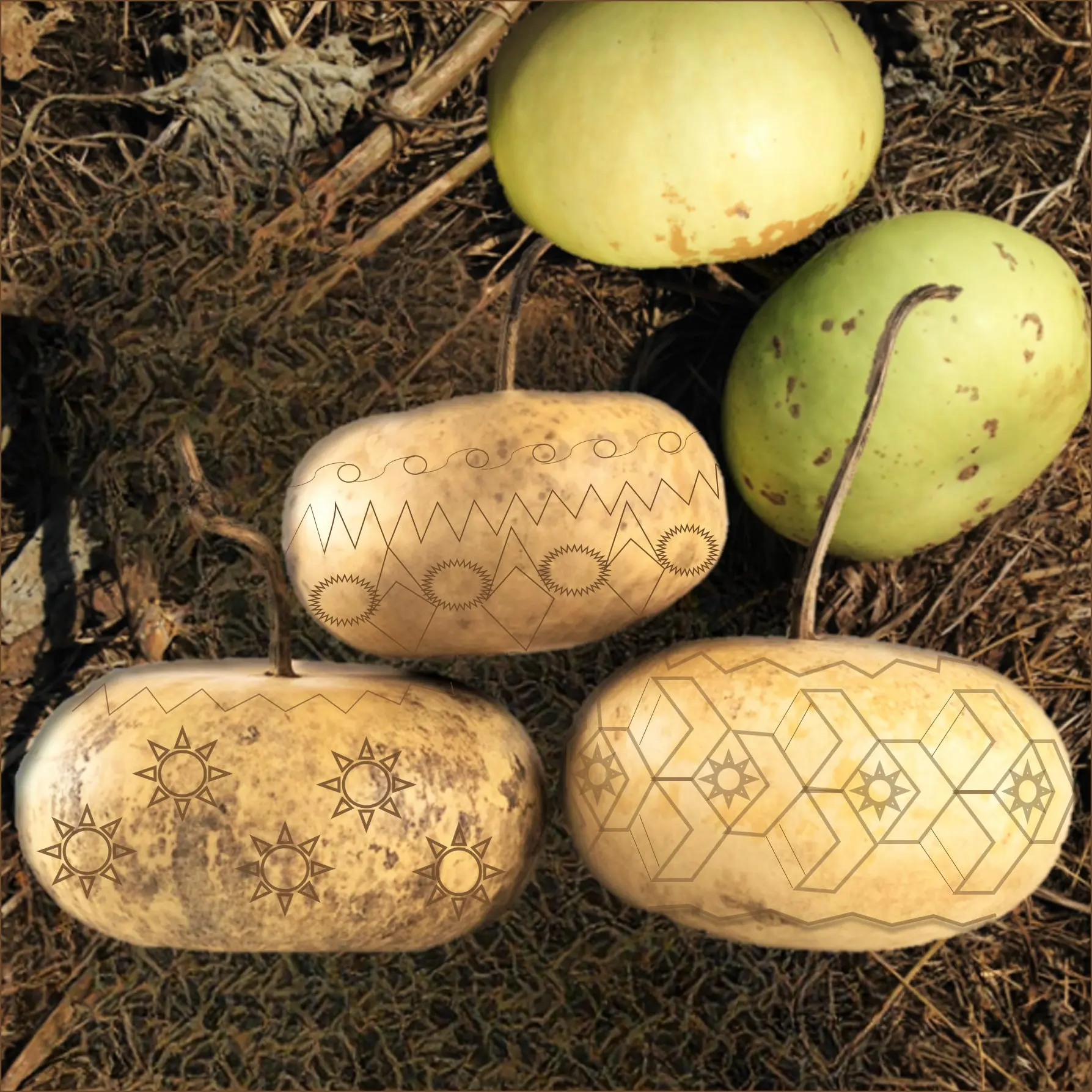TomorrowSeeds - Corsican Gourd Seeds -  Hard-Shelled Ornamental Gourds Lagenaria Siceria Basket Bowl Art Pumpkin Squash Seed For 2024 Season