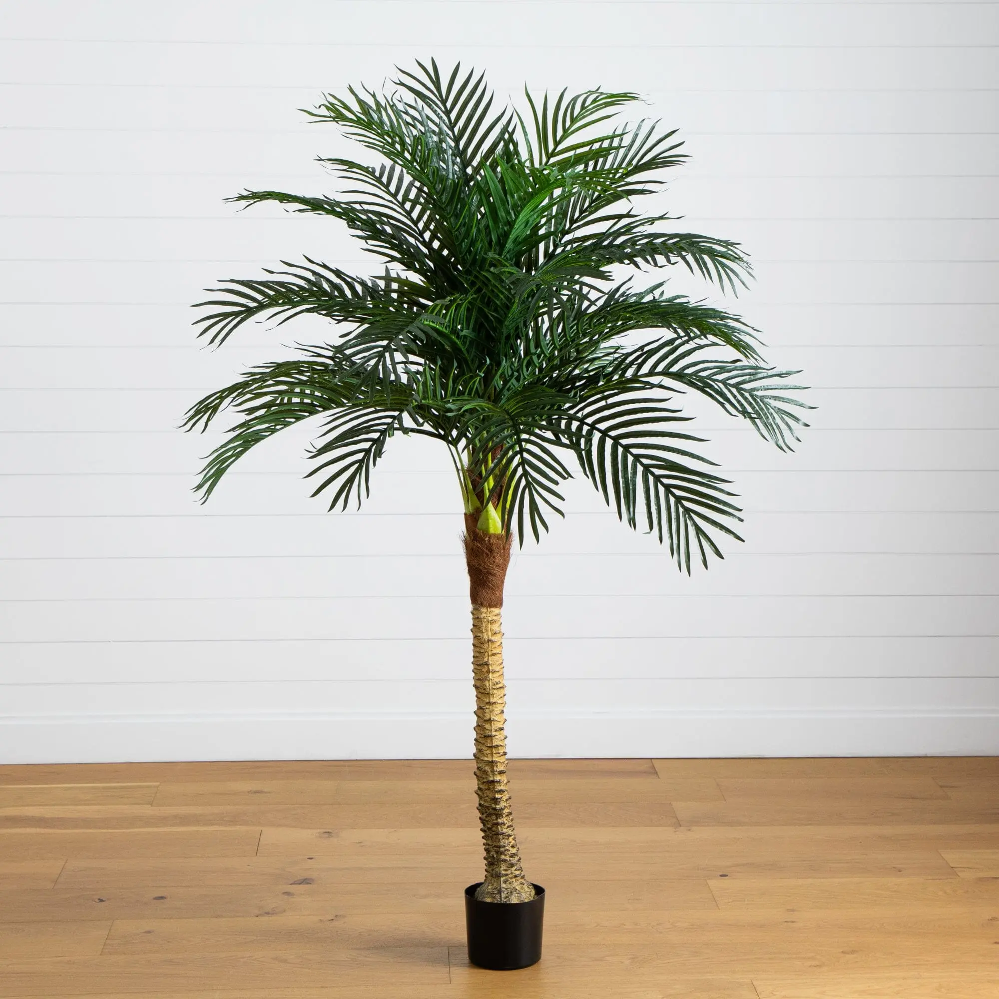 6ft (80-Inch) Artificial Robellini Palm Tree, Decorative Tropical Accent Plant for Home Decor Supplies
