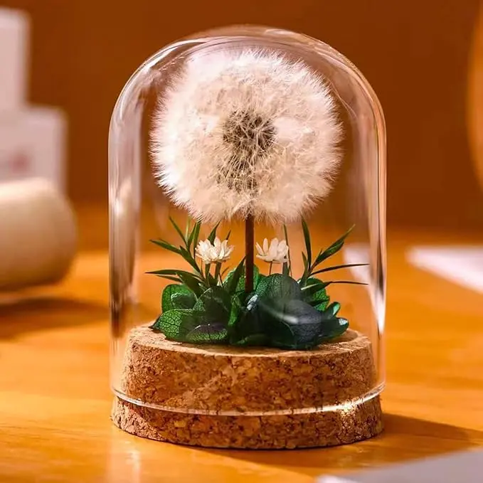 Handcrafted Preserved Dandelion Flower (Green, NoLED) in Transparent Glass Dome, Real Dandelion Specimen, Gifts for Mom Birthday, Valentine's Day gift，Graduation gift, Teacher’s Day