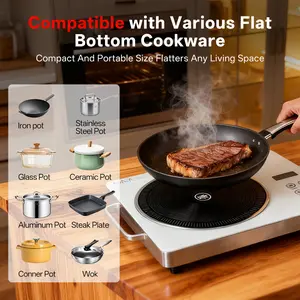 3500W Rapid Heating Electric Hot Plate 110V Portable Single Burner Cooktop with 4 Preset Modes Fried BBQ Soup 12 Level Control 0 3H Timer Easy Clean Glass Surface Compatible with Various Flat Bottom Cookware