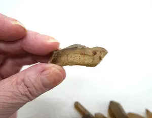 Natural Rough Citrine Bulk