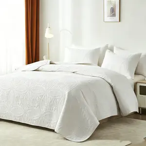 Queen Size 3-Piece Ultrasonic Bedding Set - Stitch-Free Lightweight Coverlet, Modern Coin Pattern Bedspread, All-Season, Machine Washable (Deals For You Days)