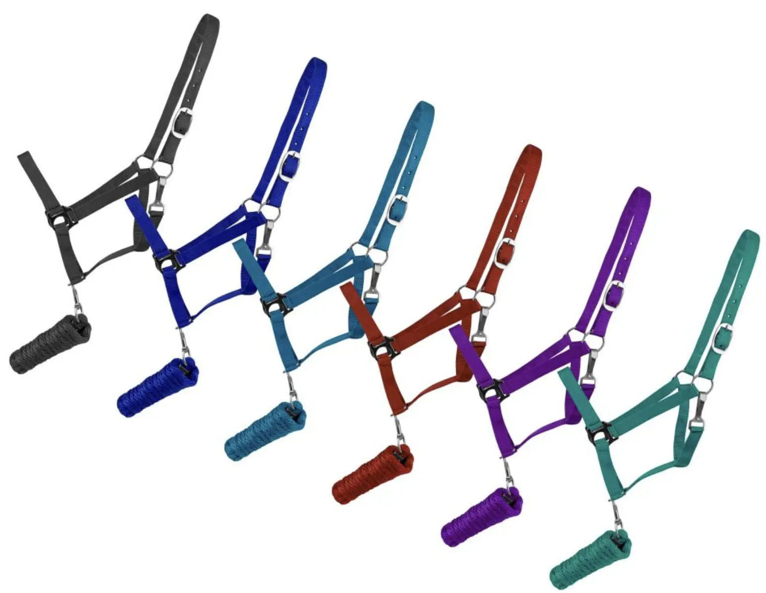 Showman Full Size adjustable nylon halter with 8.5FT lead
