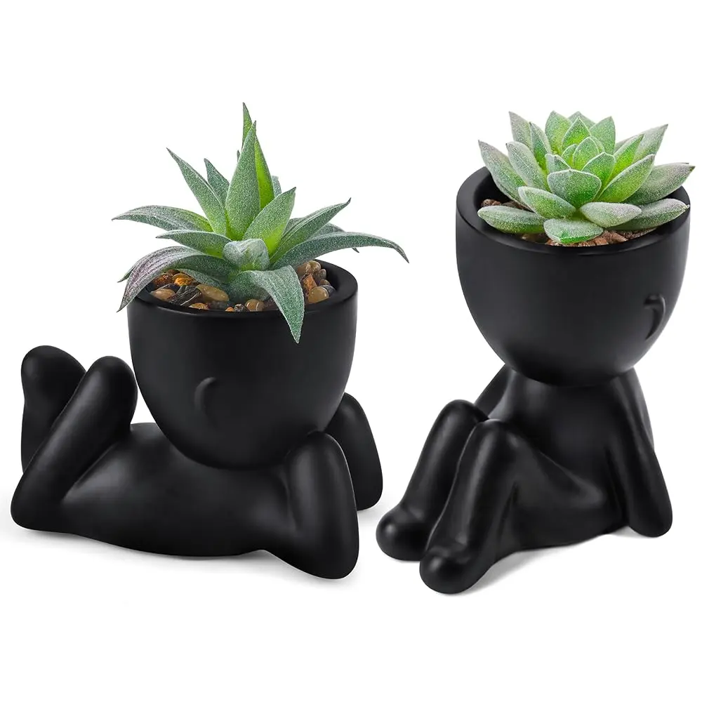 Set of 2 Fake Plants Artificial Succulent Plants for Office Desk Accessories Black Bathroom Home Room Aesthetic Decor Indoor for College Dorm Desk, Apartment Shelf & New Home Moving Decor, summerwins Mid Year Sale